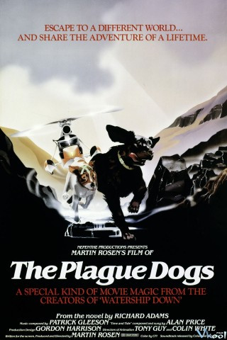 Những Chú Chó Mang Bệnh Dịch Hạch - The Plague Dogs