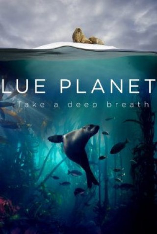 Đại Dương Sâu Thẳm 2 - Blue Planet Ii Season 1