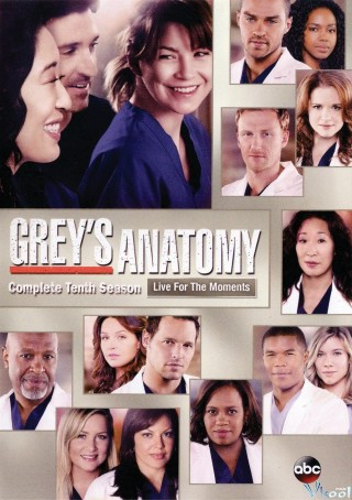 Ca Phẫu Thuật Của Grey 10 - Grey's Anatomy Season 10