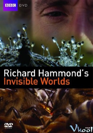 Thế Giới Vô Hình - Richard Hammond's Invisible Worlds