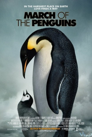 Hành Khúc Chim Cánh Cụt - March Of The Penguins