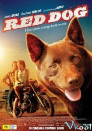Chú Chó Đỏ - Red Dog
