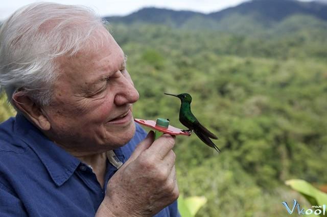 Xem Phim David Attenborough: Sự Sống Đầy Màu Sắc - Life In Colour With David Attenborough - Vkool.Net - Ảnh 2