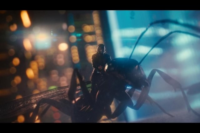 Xem Phim Người Kiến - Ant-man - Vkool.Net - Ảnh 2