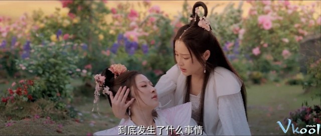 Xem Phim Liêu Trai: Hoa Thần Giáng Phi - Lich Hand To Destroy Flowers - Vkool.Net - Ảnh 3