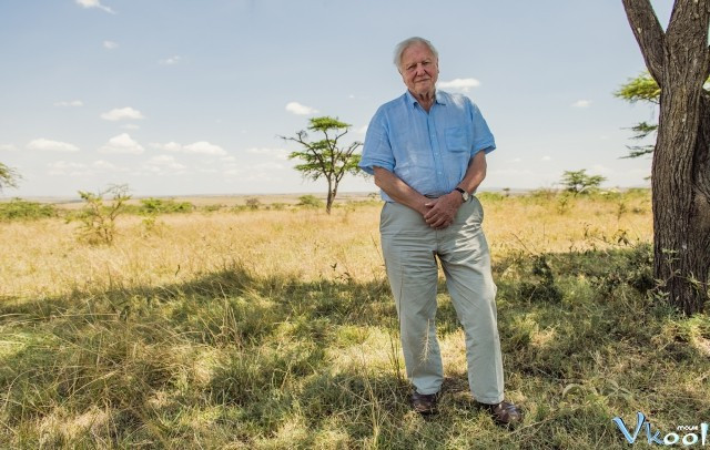 Xem Phim David Attenborough: Một Cuộc Đời Trên Trái Đất - David Attenborough: A Life On Our Planet - Vkool.Net - Ảnh 2