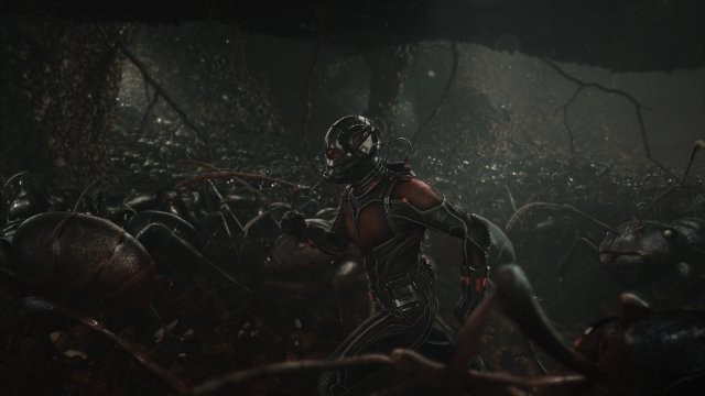 Xem Phim Người Kiến - Ant-man - Vkool.Net - Ảnh 7