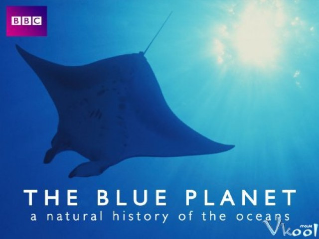 Xem Phim Đại Dương Sâu Thẳm - The Blue Planet - Vkool.Net - Ảnh 4