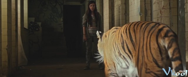 Xem Phim Cọp Không Biết Sợ - Tigers Are Not Afraid - Vkool.Net - Ảnh 3