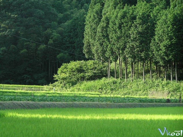Xem Phim Satoyama: Khu Vườn Thủy Sinh Tuyệt Vời - Satoyama: Japan's Secret Water Garden - Vkool.Net - Ảnh 3