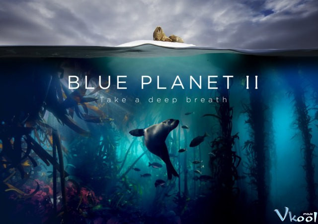 Xem Phim Đại Dương Sâu Thẳm 2 - Blue Planet Ii Season 1 - Vkool.Net - Ảnh 4
