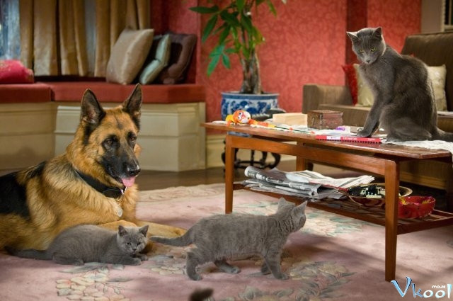 Xem Phim Cuộc Chiến Chó Mèo 2 - Cats & Dogs: The Revenge Of Kitty Galore - Vkool.Net - Ảnh 4