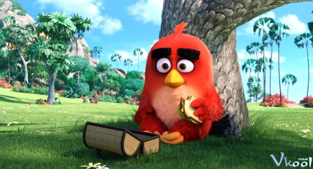 Xem Phim Những Chú Chim Nổi Giận - The Angry Birds Movie - Vkool.Net - Ảnh 5